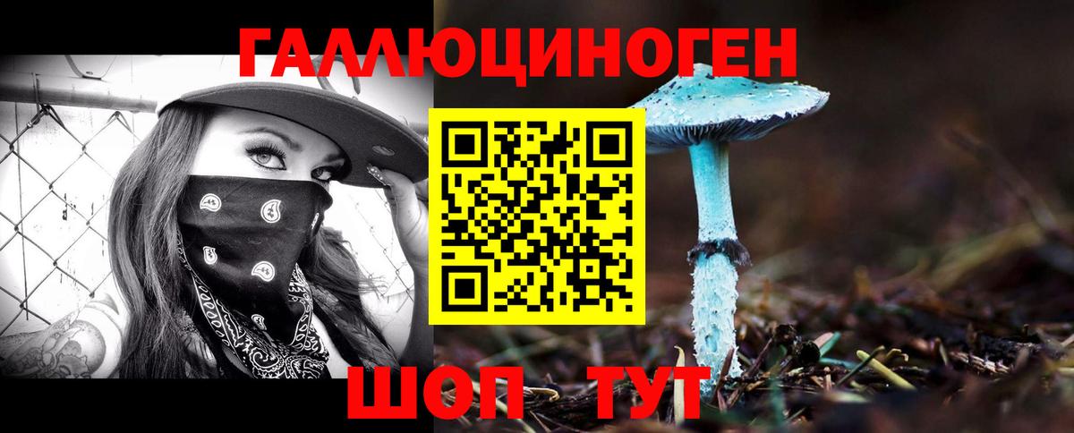 Галлюциногенные грибы GOLDEN TEACHER Саратов